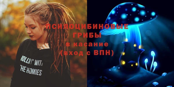 мдпв Вяземский