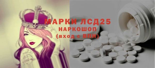 мдпв Вяземский
