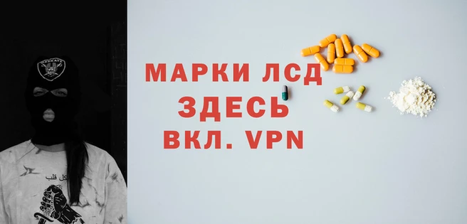 мдпв Вяземский