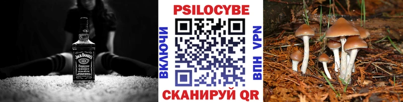 Галлюциногенные грибы GOLDEN TEACHER  Барнаул 